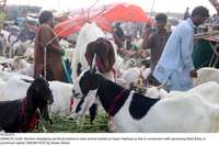 Filename=Pic30-072~10.jpg
Filesize=251KiB
Dimensions=2047x1362
Date added=Jul 30, 2020 Pic30-072~10.jpg