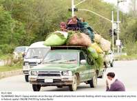 Filename=Pic31-004~13.jpg
Filesize=321KiB
Dimensions=1800x1328
Date added=Mar 31, 2020 Pic31-004~13.jpg