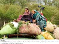 Filename=Pic31-005~13.jpg
Filesize=275KiB
Dimensions=1800x1340
Date added=Mar 31, 2020 Pic31-005~13.jpg