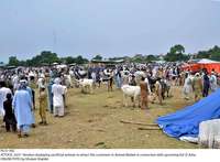 Filename=Pic31-042~15.jpg
Filesize=444KiB
Dimensions=2047x1508
Date added=Jul 31, 2020 Pic31-042~15.jpg