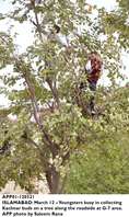 Filename=app01-0120321islamabad.jpg
Filesize=292KiB
Dimensions=797x1340
Date added=Mar 12, 2021 app01-0120321islamabad.jpg
