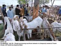 Filename=app01-26islamabad.jpg
Filesize=271KiB
Dimensions=1200x895
Date added=Jul 26, 2020 app01-26islamabad.jpg