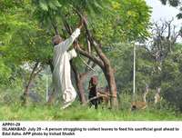 Filename=app01-29islamabad.jpg
Filesize=291KiB
Dimensions=1200x913
Date added=Jul 29, 2020 app01-29islamabad.jpg