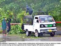 Filename=app02-01islamabad~0.jpg
Filesize=399KiB
Dimensions=1200x900
Date added=Sep 01, 2020 app02-01islamabad~0.jpg