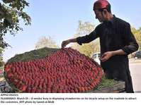 Filename=app02-050321islamabad.jpg
Filesize=218KiB
Dimensions=1200x899
Date added=Mar 05, 2021 app02-050321islamabad.jpg
