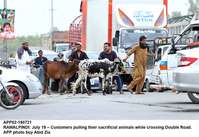 Filename=app02-190721rawalpindi.jpg
Filesize=174KiB
Dimensions=1200x827
Date added=Jul 19, 2021 app02-190721rawalpindi.jpg