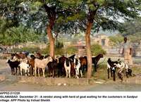 Filename=app02-211220islamabad.jpg
Filesize=283KiB
Dimensions=1200x871
Date added=Dec 21, 2020 app02-211220islamabad.jpg