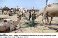 Filename=app02-22rawalpindi.jpg
Filesize=243KiB
Dimensions=1200x782
Date added=Jul 22, 2020 app02-22rawalpindi.jpg