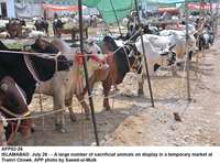 Filename=app02-26islamabad.jpg
Filesize=292KiB
Dimensions=1200x888
Date added=Jul 26, 2020 app02-26islamabad.jpg