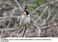 Filename=app02-29islamabad.jpg
Filesize=113KiB
Dimensions=1200x876
Date added=Jul 29, 2020 app02-29islamabad.jpg