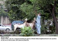 Filename=app03-190721rawalpindi.jpg
Filesize=226KiB
Dimensions=1200x864
Date added=Jul 19, 2021 app03-190721rawalpindi.jpg