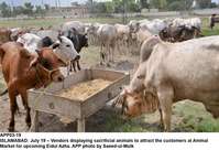 Filename=app03-19islamabad.jpg
Filesize=211KiB
Dimensions=1200x821
Date added=Jul 19, 2020 app03-19islamabad.jpg