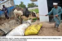 Filename=app03-21islamabad.jpg
Filesize=315KiB
Dimensions=1200x798
Date added=Jul 21, 2020 app03-21islamabad.jpg
