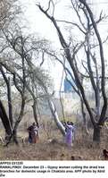Filename=app03-231220rawalpindi.jpg
Filesize=306KiB
Dimensions=807x1330
Date added=Dec 23, 2020 app03-231220rawalpindi.jpg