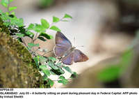 Filename=app04-05islamabad.jpg
Filesize=143KiB
Dimensions=1200x852
Date added=Jul 05, 2020 app04-05islamabad.jpg
