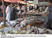 Filename=app04-18islamabad.jpg
Filesize=217KiB
Dimensions=1200x885
Date added=Oct 18, 2020 app04-18islamabad.jpg