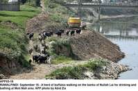 Filename=app05-16rawalpindi.jpg
Filesize=355KiB
Dimensions=1200x791
Date added=Sep 16, 2020 app05-16rawalpindi.jpg