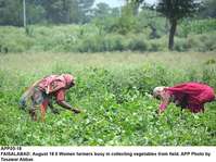 Filename=app05-18faisalabad.jpg
Filesize=298KiB
Dimensions=1200x897
Date added=Aug 18, 2020 app05-18faisalabad.jpg