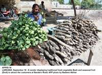 Filename=app05-18larkana.jpg
Filesize=299KiB
Dimensions=1200x878
Date added=Sep 18, 2020 app05-18larkana.jpg