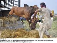 Filename=app05-19islamabad.jpg
Filesize=222KiB
Dimensions=1200x894
Date added=Jul 19, 2020 app05-19islamabad.jpg