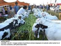 Filename=app05-200721lahore.jpg
Filesize=243KiB
Dimensions=1200x910
Date added=Jul 20, 2021 app05-200721lahore.jpg