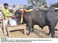 Filename=app05-29islamabad.jpg
Filesize=285KiB
Dimensions=1200x901
Date added=Jul 29, 2020 app05-29islamabad.jpg