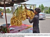 Filename=app06-18faisalabad.jpg
Filesize=243KiB
Dimensions=1200x890
Date added=Aug 18, 2020 app06-18faisalabad.jpg