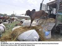 Filename=app06-19islamabad.jpg
Filesize=229KiB
Dimensions=1200x887
Date added=Jul 19, 2020 app06-19islamabad.jpg