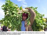 Filename=app06-211220larkana.jpg
Filesize=243KiB
Dimensions=1200x896
Date added=Dec 21, 2020 app06-211220larkana.jpg