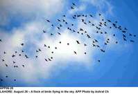 Filename=app06-26lahore.jpg
Filesize=62KiB
Dimensions=1200x821
Date added=Aug 26, 2020 app06-26lahore.jpg