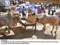 Filename=app06-29islamabad.jpg
Filesize=314KiB
Dimensions=1200x909
Date added=Jul 29, 2020 app06-29islamabad.jpg