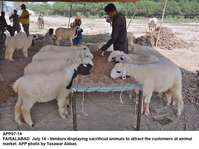 Filename=app07-14faisalabad.jpg
Filesize=228KiB
Dimensions=1200x897
Date added=Jul 14, 2020 app07-14faisalabad.jpg