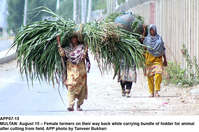Filename=app07-15multan.jpg
Filesize=362KiB
Dimensions=1200x795
Date added=Aug 15, 2020 app07-15multan.jpg