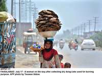Filename=app07-17faisalabad.jpg
Filesize=158KiB
Dimensions=1200x894
Date added=Jul 17, 2020 app07-17faisalabad.jpg