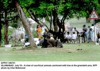 Filename=app07-190721islamabad.jpg
Filesize=231KiB
Dimensions=1200x855
Date added=Jul 19, 2021 app07-190721islamabad.jpg