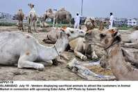 Filename=app07-19islamabad.jpg
Filesize=224KiB
Dimensions=1200x803
Date added=Jul 19, 2020 app07-19islamabad.jpg