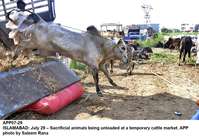 Filename=app07-29islamabad.jpg
Filesize=284KiB
Dimensions=1200x833
Date added=Jul 29, 2020 app07-29islamabad.jpg