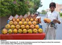 Filename=app08-07faisalabad.jpg
Filesize=223KiB
Dimensions=1200x872
Date added=Sep 07, 2020 app08-07faisalabad.jpg