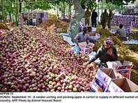 Filename=app08-10gillgit.jpg
Filesize=405KiB
Dimensions=1200x894
Date added=Sep 10, 2020 app08-10gillgit.jpg