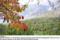 Filename=app08-17hunza.jpg
Filesize=336KiB
Dimensions=1200x818
Date added=Oct 17, 2020 app08-17hunza.jpg