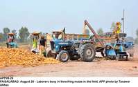 Filename=app08-26faisalabad.jpg
Filesize=207KiB
Dimensions=1200x759
Date added=Aug 26, 2020 app08-26faisalabad.jpg