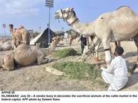 Filename=app08-26islamabad.jpg
Filesize=279KiB
Dimensions=1200x901
Date added=Jul 26, 2020 app08-26islamabad.jpg