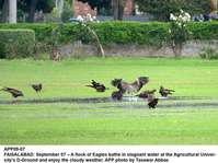 Filename=app09-07faisalabad~0.jpg
Filesize=224KiB
Dimensions=1200x897
Date added=Sep 07, 2020 app09-07faisalabad~0.jpg