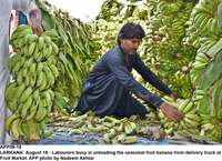 Filename=app09-18larkana.jpg
Filesize=274KiB
Dimensions=1200x871
Date added=Aug 18, 2020 app09-18larkana.jpg
