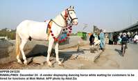 Filename=app09-241220rawalpindi.jpg
Filesize=191KiB
Dimensions=1200x704
Date added=Dec 24, 2020 app09-241220rawalpindi.jpg
