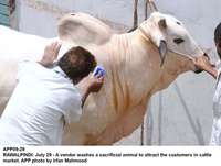 Filename=app09-29rawalpindi.jpg
Filesize=131KiB
Dimensions=1200x907
Date added=Jul 29, 2020 app09-29rawalpindi.jpg