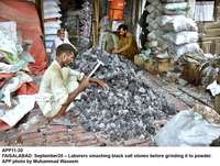 Filename=app11-20faisalabad~0.jpg
Filesize=320KiB
Dimensions=1200x906
Date added=Sep 20, 2020 app11-20faisalabad~0.jpg