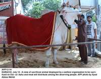 Filename=app12-14karachi.jpg
Filesize=266KiB
Dimensions=1200x944
Date added=Jul 14, 2020 app12-14karachi.jpg