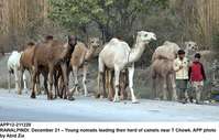 Filename=app12-211220rawalpindi.jpg
Filesize=204KiB
Dimensions=1200x766
Date added=Dec 21, 2020 app12-211220rawalpindi.jpg