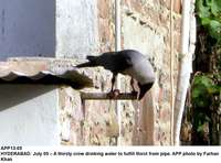 Filename=app13-05hyderabad.jpg
Filesize=171KiB
Dimensions=1200x888
Date added=Jul 05, 2020 app13-05hyderabad.jpg